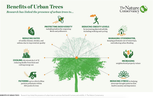 Benefits of Urban Trees