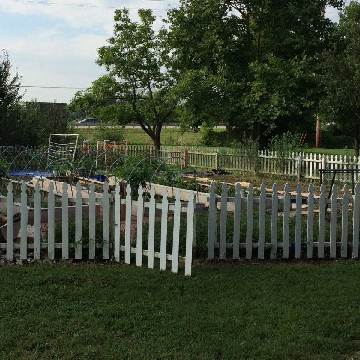 Communiy garden