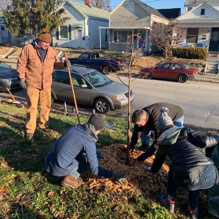 Volunteers planting tree