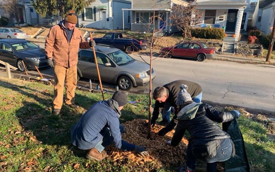 Planting Tree