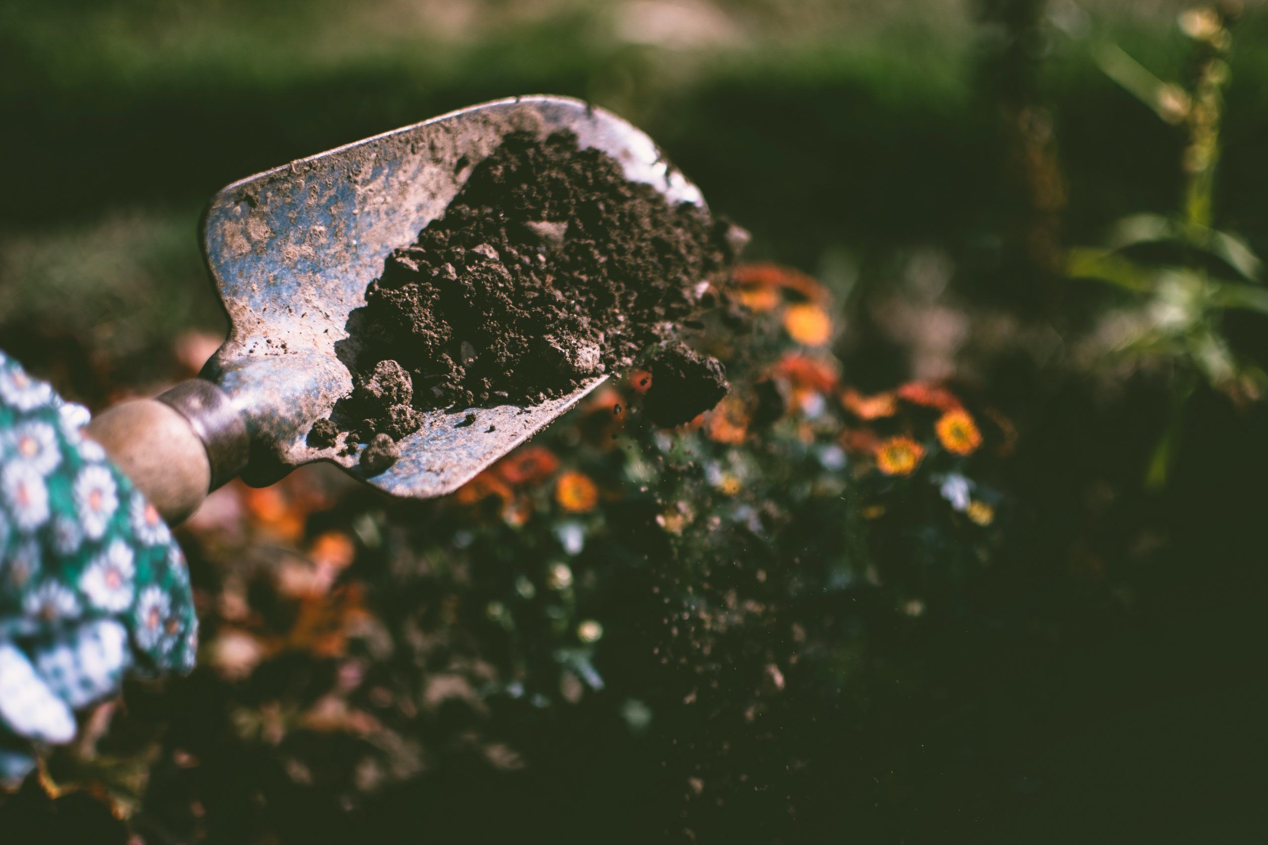 Garden shovel