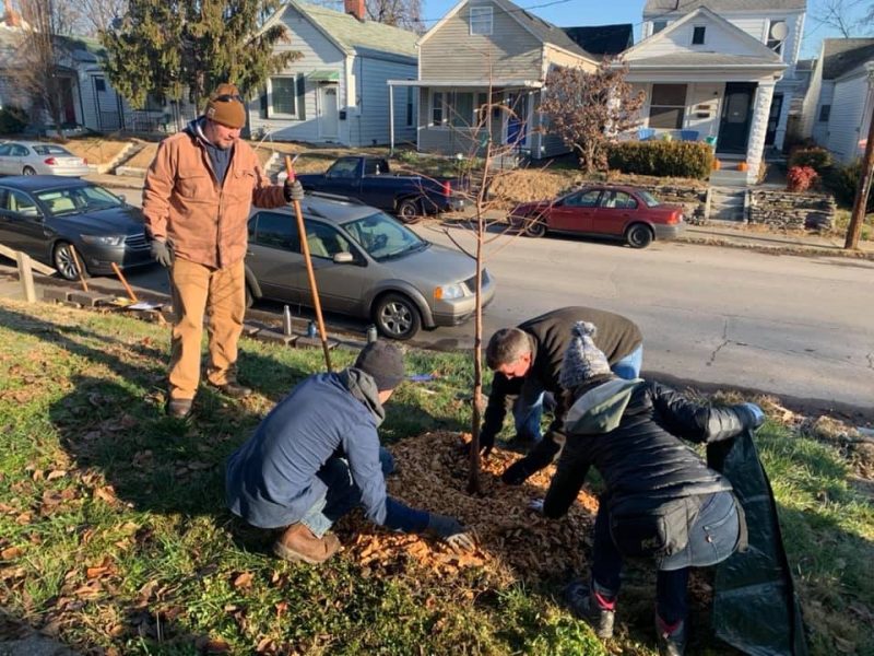 Tree Planting Events – Louisville Grows What Growing Zone Is Louisville Ky