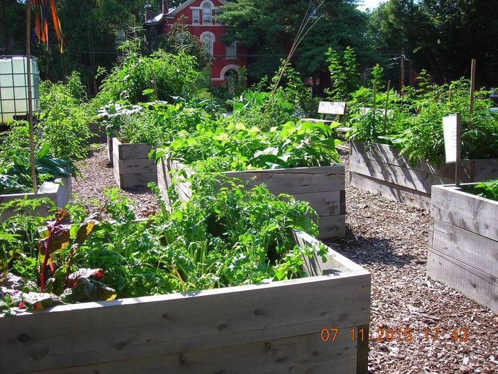 Community Garden Grant 2019 Info Session – Louisville Grows