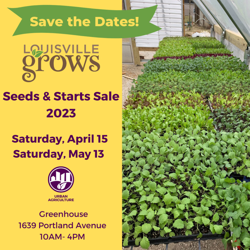 Seed and Starts Sale